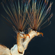 Image for article titled The year's strangest, most beautiful visions of the microverse